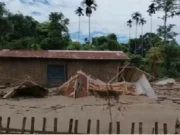 Flood in Assam causes widespread damage, IMD issues fresh rain alert flood in assam