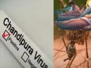 Chandipura Virus outbreak in Gujarat kills 22 children, health ministry put on high alert Chandipura Virus