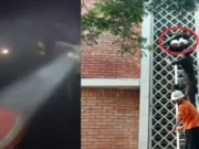 14 children burnt alive in Pakistan due to fire in hospital Children burnt alive in Pakistan