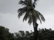 Fresh low pressure over Bay of Bengal, MeT Department predicts heavy rain in Odisha for next 3 days Fresh low pressure over Bay of Bengal