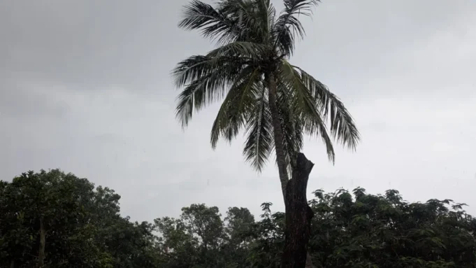 Fresh low pressure over Bay of Bengal Fresh low pressure over Bay of Bengal