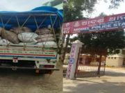 Liquor seized in Odagaon, accused detained and pickup van seized Liquor seized in odagaon