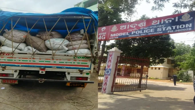 Ganja seized in odagaon Liquor seized in odagaon