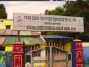 Leopard attack in Boudh: death of cow leaves villagers panic stricken Leopard attack in Boudh