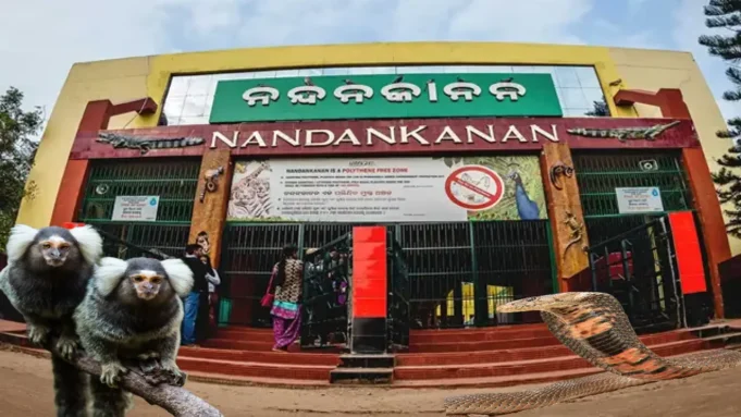 Snakebite in Nanadankanan