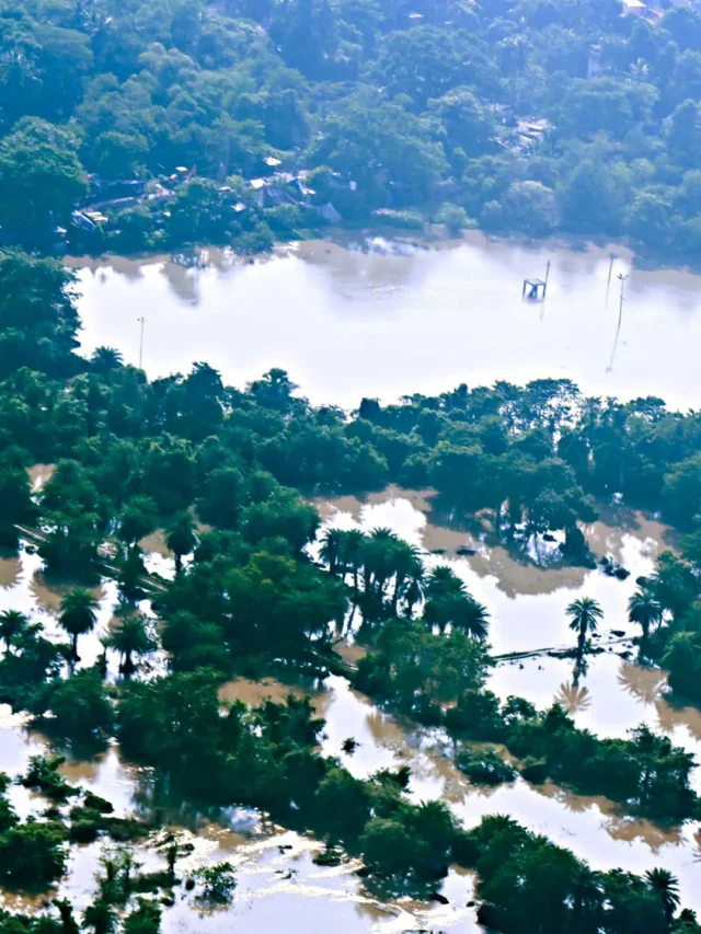Floods wreak havoc in 7 districts of Odisha Odisha Flood