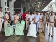 Ganja seized in Bhubaneswar station, two alleged inter-state peddlers detained ganja seized in Bhubaneswar station
