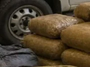195 kgs ganja seized in Berhampur of Odisha, 3 people detained ganja seized in ganjam