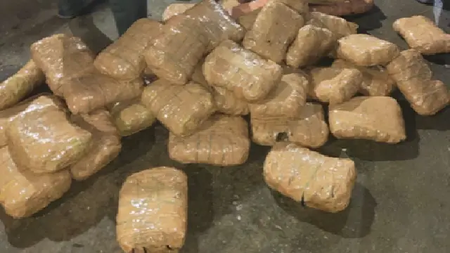ganja seized in malkangiri ganja seized in malkangiri