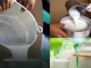 Milk price rise in Mumbai from September 1, to be dearer by Rs. 9 per liter milk price rise