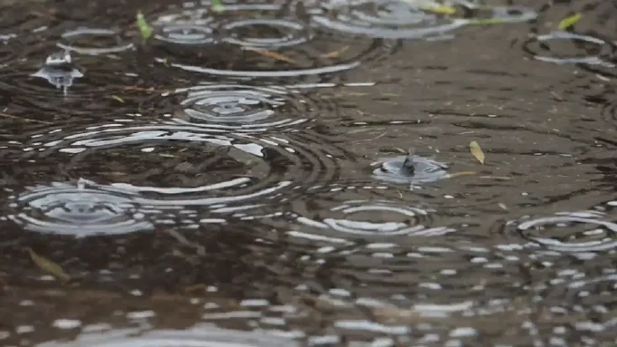 rain alert issued in Odisha