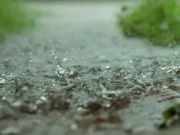 Rain alert for Odisha: IMD predicts heavy to very heavy rain rain in Odisha