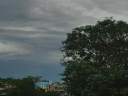 Overnight heavy rainfall in Cuttack and Bhubaneswar leads to water logging and traffic snarls rainfall in cuttack and bhubaneswar