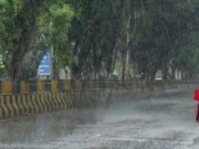 Rainfall in Odisha for 24 hours due to low pressure in Bay of Bengal rainfall in odisha for 24 hours