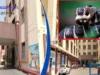 2 snakebite deaths in Nuapada of Odisha, family in state of shock snakebite deaths in Nuapada