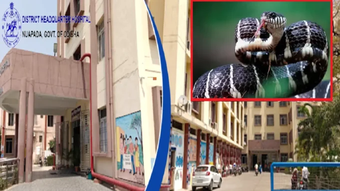 snakebite deaths in Nuapada snakebite deaths in Nuapada