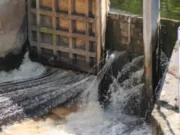 Crack in sluice gate in Jaleswar: Floodwater gushes into village, locals panic stricken Crack in sluice gate in Jaleswar