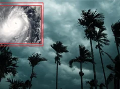 Cyclone Arnab forms in Bay of Bengal, IMD yet to ascertain path asks people not to panic Cyclone Arnab