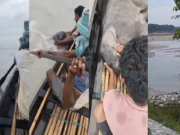 Fishermen rescue newborn elephant calf from river, video goes viral Fishermen rescue newborn elephant