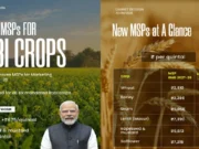 MSP Hiked for Rabi Crops by Center for Year 2027 to 2028 MSP Hiked for Rabi Crops
