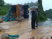 Truck accident in Chhattisgarh: 6 killed and 11 injured after ramming into parked vehicle Truck accident in Chhattisgarh