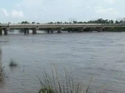 Yet another youth jumps into Daya river in Bhubaneswar after parking autorickshaw on Bankual bridge Youth jumps into Daya river