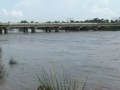 Yet another youth jumps into Daya river in Bhubaneswar after parking autorickshaw on Bankual bridge Youth jumps into Daya river