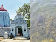 Mystery of the leaning temple of Huma in Odisha and the sacred Kudo fish near it leaning temple of Huma
