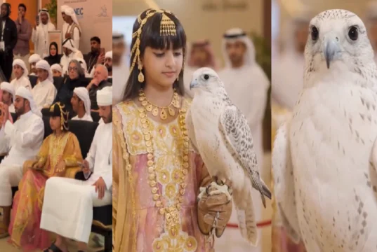 Daughters’ wish fulfilled! Rare falcon sold for 3.5 cr at an auction in Abu Dhabi rare falcon sold for 3.5 cr