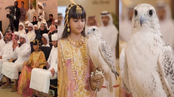 rare falcon sold for 3.5 cr rare falcon sold for 3.5 cr