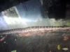 Huge snakes in Kapilash temple in Odisha, locals and tourists shocked snakes in Kapilash temple