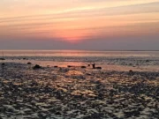 Dumas beach, one of the haunted and scariest place in Surat of Gujarat! dumas beach
