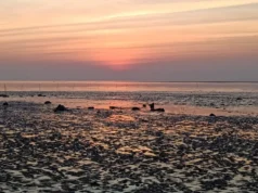 Dumas beach, one of the haunted and scariest place in Surat of Gujarat! dumas beach