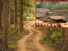 The strange yet true village of bachelors in India, story of Barwan Kala in Bihar village of bachelors in India